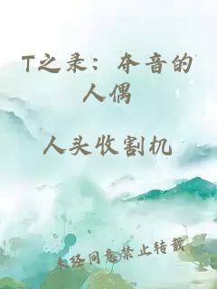 T之录：夺音的人偶