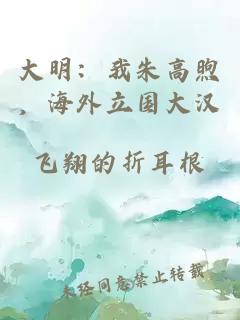 大明：我朱高煦，海外立国大汉
