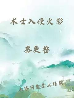 术士入侵火影