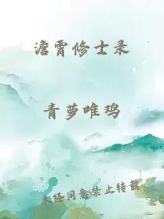 澹霄修士录